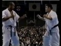 kyokushin karate