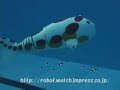 Fish robot Fish robot