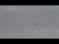 Whooping Crane Flight Dec 4 09