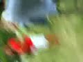 mos-nebun-la-zilele-