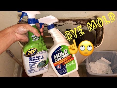 video-linktoworks-✅How to Get Rid of Black Mold or Mildew Stains Fast...