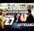Cerdedo, Festa do Xabarín 2008