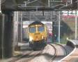 Freightliner