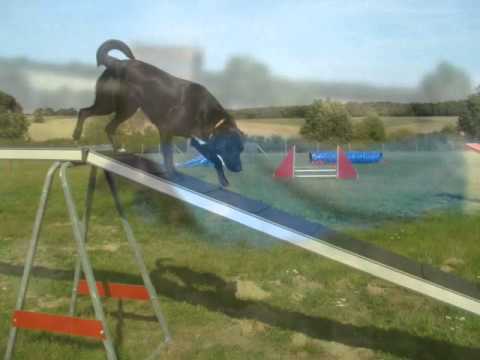 Image de prévisualisation YouTube