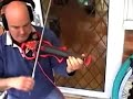 Pete Hartley Plays the Blues Electric Violin 2 bebop Pete Hartley Plays the Blues Electric Violin 2 bebop
