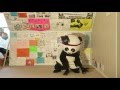 You Was Right Dance Cover by a Panda