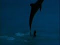 le grand bleu(version longue) part12