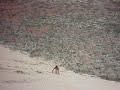 Mortal nas Dunas de São Cristovão Mortal nas Dunas de São Cristovão
