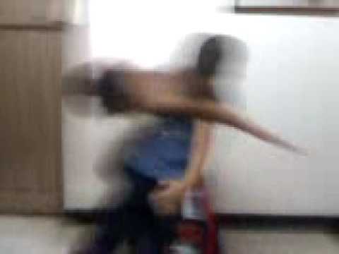 pelea de pitbulls