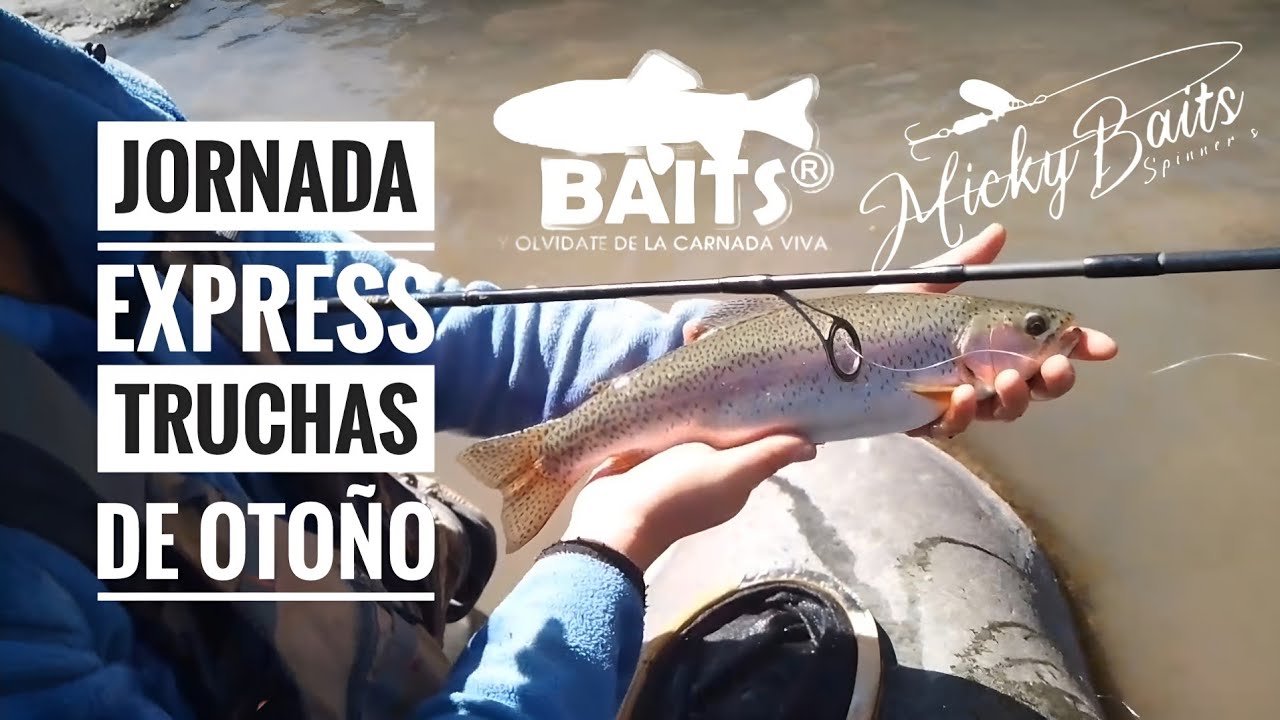 Live - Jornada de pesca Río Chillán