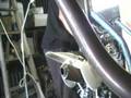 videos de My yx 150 with scut kit