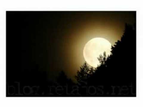 Imagen de previsualización de YouTube