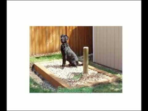 how to dissolve dog feces