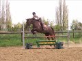 falbala du pas