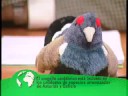 La Fundaci�n Biodiversidad y SEO/BirdLife ponen en marcha un