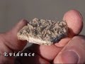revealing gods treasure   noahs ark