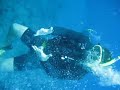 SCUBA Perv