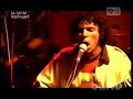 Arbol - La Sarita