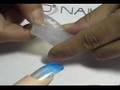 Tutor Video of Golden Fish