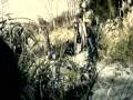 Chanbara remix My Traitor_0001.wmv