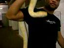 snake