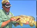 Gulf Confidence - WRECK fishing for grouper & permit