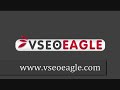 VSEO Experts