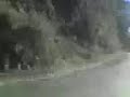 la cebolla 07