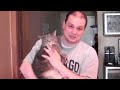 YouTube - Wedgie the Singing Cat