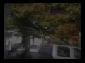 videos de carpet layers of destruction - stalker video