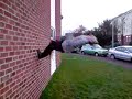 WallFlip - Jupe