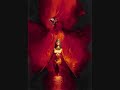 phoenix phoenix