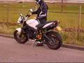 Street Triple Zard Without Db-killers