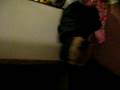 Funny Short People