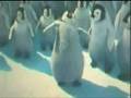 ŞEMMAMME OYNAYAN PENGUEN