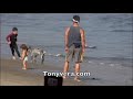 matthew mcconaughey and camila alves squeeze in some family on the beach of mailbu.