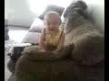 Baby Laughs On Couch