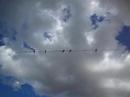 10-Second Vacations #48 - Birds on a Wire
