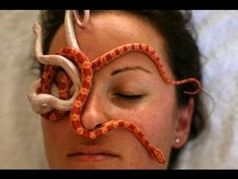YouTube reptile video
