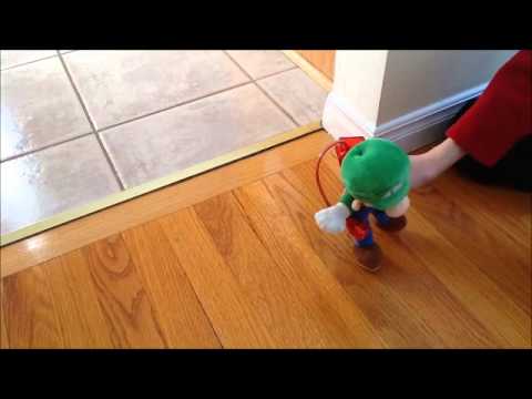 mansion videos - Luigi tries to save Mario who has been turned into a painting by King Boo.