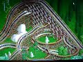 Dueling Roller Coaster (Black Side)