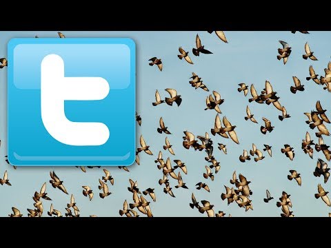 how to buy twitter followers