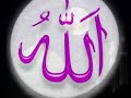 انشودة مولاي صلي وسلم