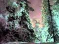 lapland levi experience