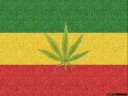 Gutek - Ganja Sensibile