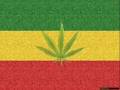 Gutek - Ganja