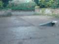 Marks bike jumps.3gp