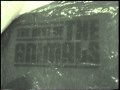 Sony Hi8 NightShot X-Ray vision infrared test