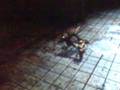 videos de Hellgate london glitch