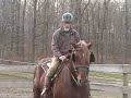 Ken & Martha Laing ride Rufus, the Suffolk Punch Stallion Ken & Martha Laing ride Rufus, the Suffolk Punch Stallion